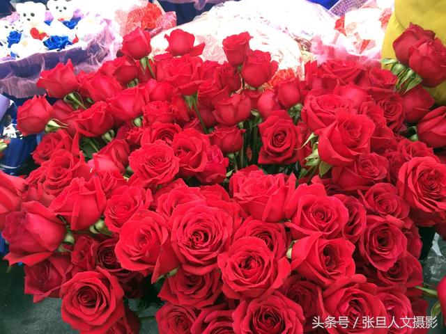 情人节送什么好腊月二十九赶上情人节  99朵玫瑰花要送心爱人