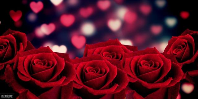 情人节送什么礼物Rose Meaning of Valentines day 情人节玫瑰花语
