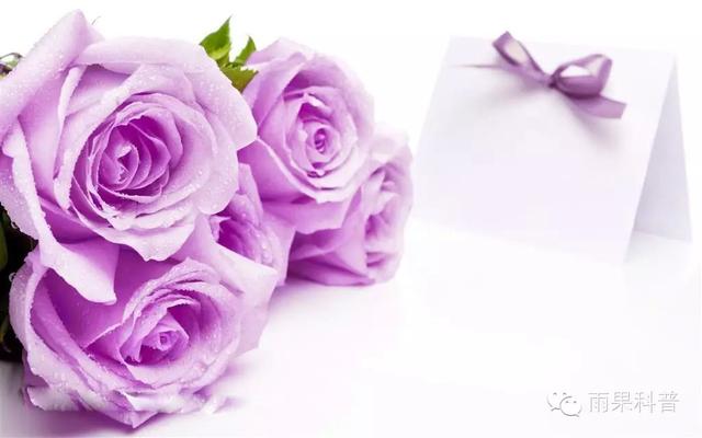 情人节送男朋友什么情人节的玫瑰花，你选对了吗？