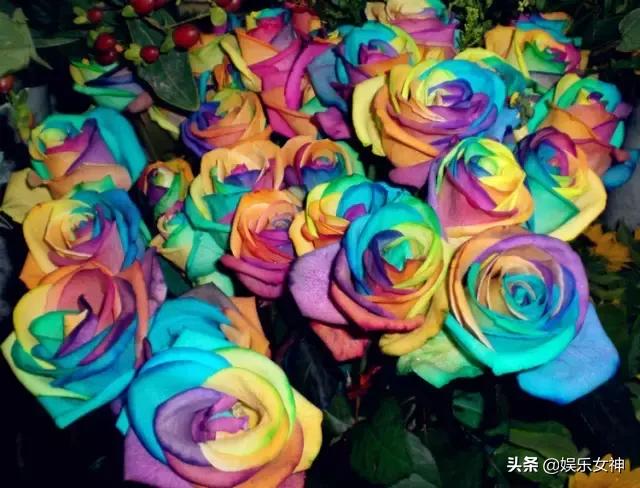 送男友情人节礼物明日七夕情人节，99999玫瑰送给群里所有的朋友，祝你们情人