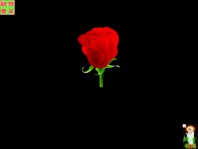 送男友情人节礼物今天情人节，送你999朵玫瑰，祝有情人终成眷属