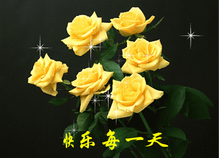情人节送老公什么今天2.14日情人节，999玫瑰送给所有朋友，祝你们情人节快乐