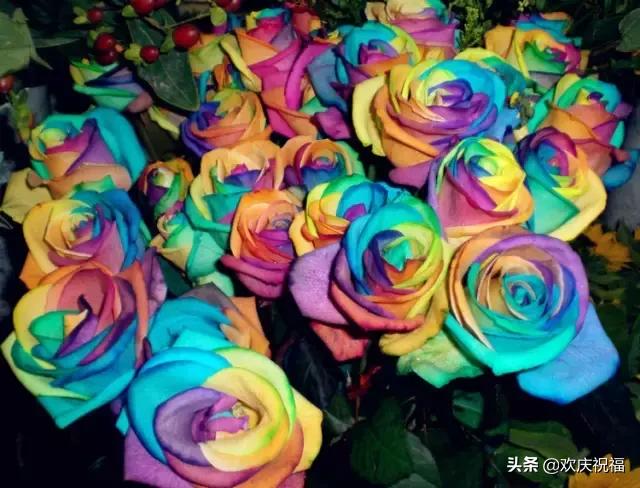 情人节送老公什么今天2.14日情人节，999玫瑰送给所有朋友，祝你们情人节快乐
