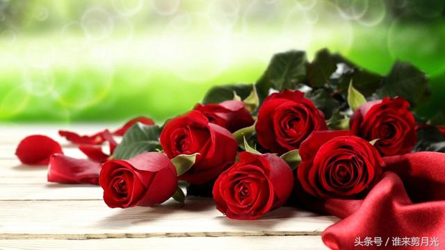 情人节女孩要送礼物情人节送什么花好 代表什么花语 送女朋友除了玫瑰还能送