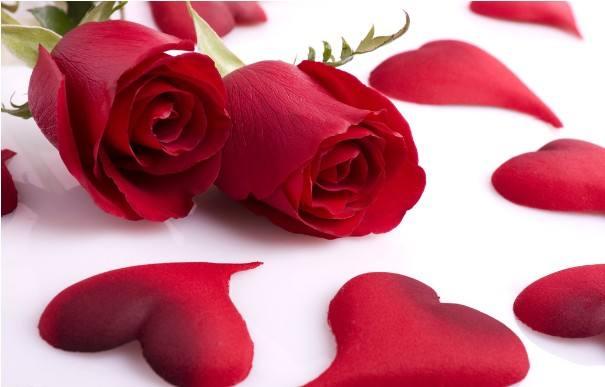 七夕送什么好你知道玫瑰的花语吗？不同的颜色的玫瑰有不同的含义