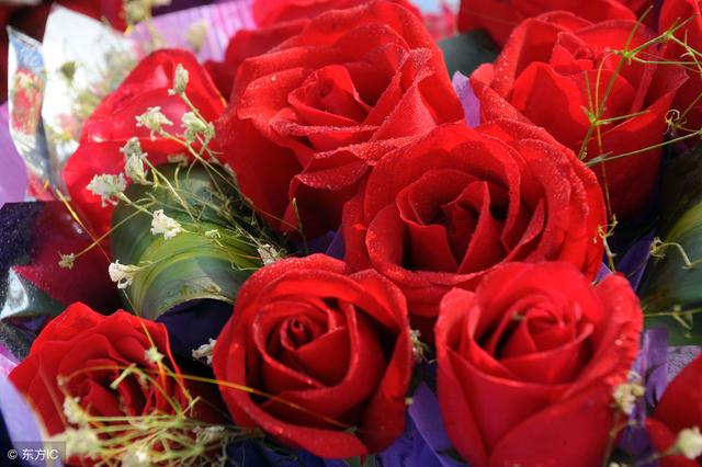 情人节送礼物明天就是情人节了，除了送玫瑰，这些花也是不二之选呦
