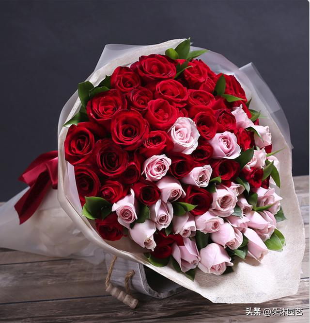 情人节送老公什么礼物好到底该送白玫瑰还是红玫瑰还是香槟玫瑰？