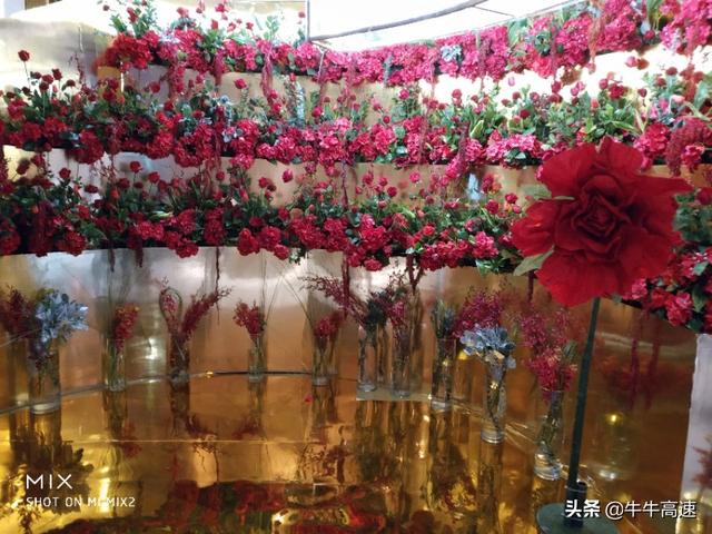 情人节送什么花玫瑰花的花语和朵数含义建议收藏