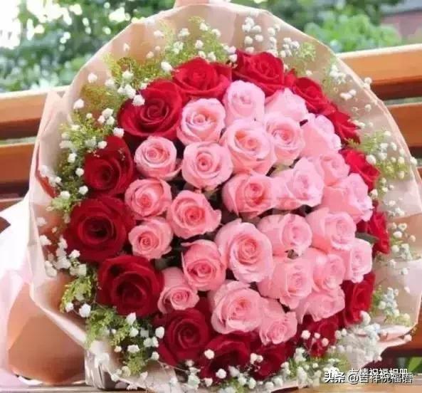 情人节送媳妇什么礼物今天情人节,520玫瑰送给群里朋友,祝你们情人节快乐,永远