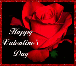 情人节送玫瑰花的含义5201314， 送你999玫瑰花，祝你爱情甜甜蜜蜜