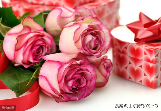 情人节送花玫瑰花语大全 蓝玫瑰花语 玫瑰花支数不同所代表的含意