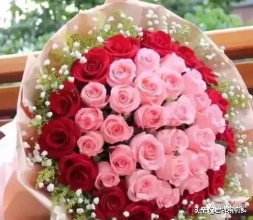 情人节送什么明天情人节，99玫瑰送给群里朋友，祝你们情人节快乐，永远健康