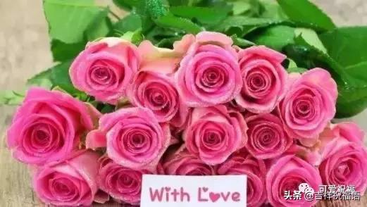 情人节送什么明天情人节，99玫瑰送给群里朋友，祝你们情人节快乐，永远健康