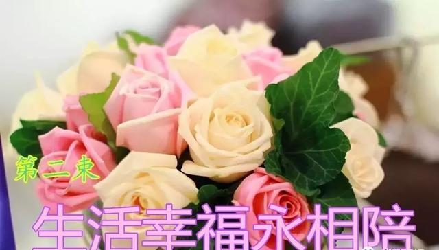 情人节送玫瑰花的含义5.20情人节到了！最美的祝福送给天下有情人！打开看看