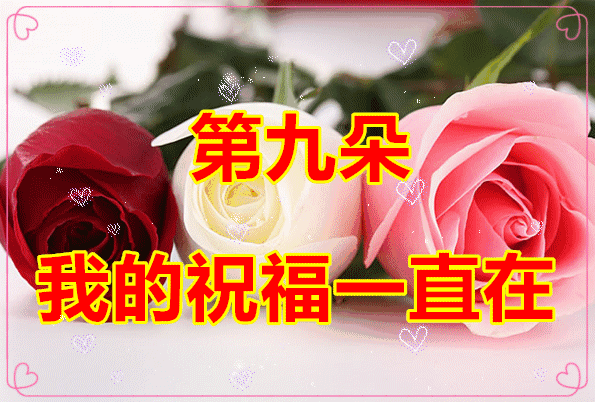 情人节送啥给女朋友明天2.14情人节，9朵爱的玫瑰送给在乎的你，愿你开心幸福